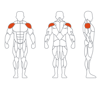 LD1005肩部训练器 副本 LD1005肩部训练器 副本